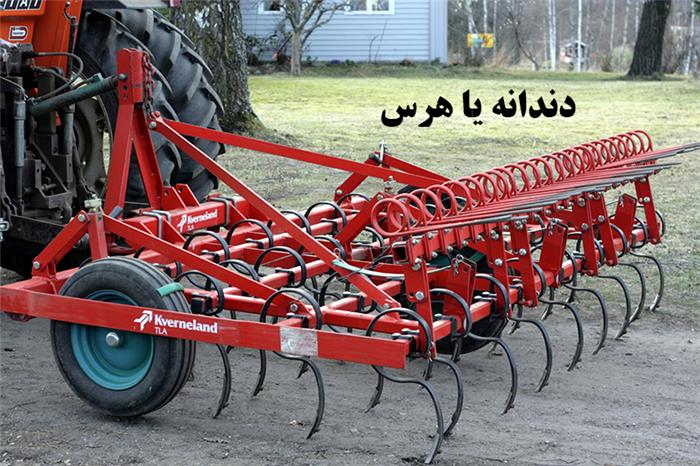 دندانه یا هرس